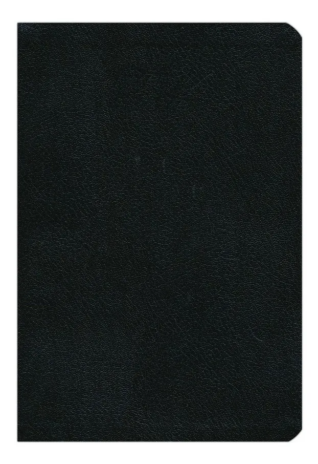 Biblia Letra Grande Reina Valera 1960 Tapa Blanda Simil Cuero